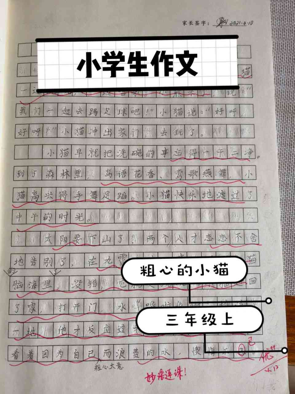 猫的续写300字右：三年级学生创意作文及200字简版汇编