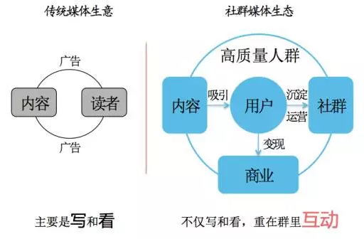 华为手机社交圈营销策略：全面解析用户关注的热点传语与推广技巧