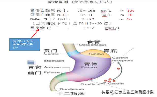 解读医院检查报告：一键查询与智能解读报告单软件