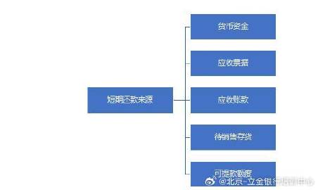 全面解析贷款调查报告：关键要素、调查流程与风险评估要点