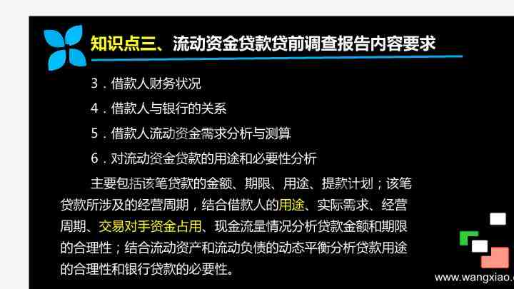 全面解析贷款调查报告：关键要素、调查流程与风险评估要点