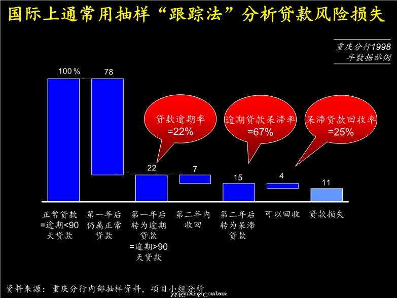 全面解析贷款调查报告：关键要素、调查流程与风险评估要点