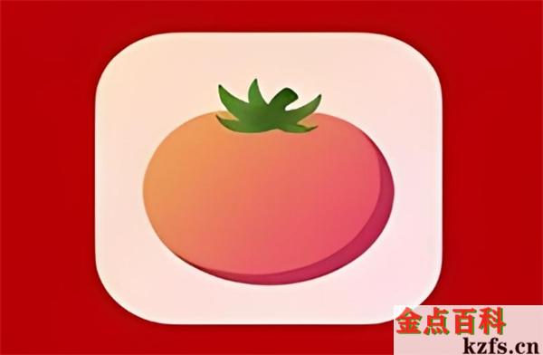 番茄创作工具使用指南：怎么写作小说，让作品轻松变成原创