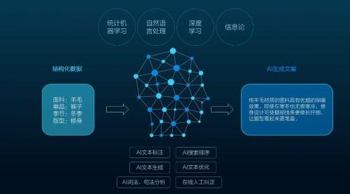 ai项目运营模式介绍文案