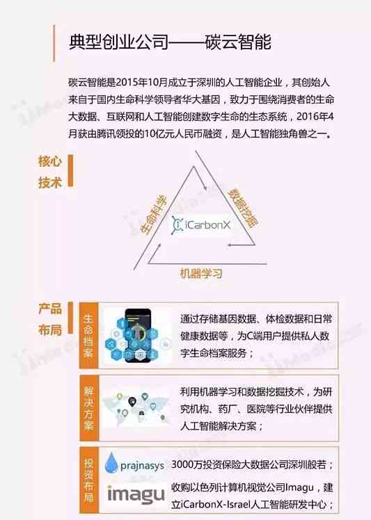 人工智能机器人观察与实验总结：一份详细的调研报告及文库汇编