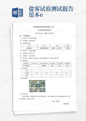 'AI模块实验检验总结报告模板'