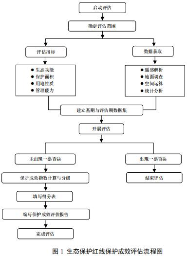 AI健评估报告制作指南：全面解析生成流程、关键步骤与实用技巧