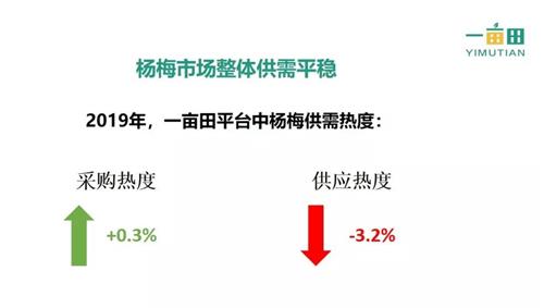 软件：与市场调研报告，涵热门软件及界面分析