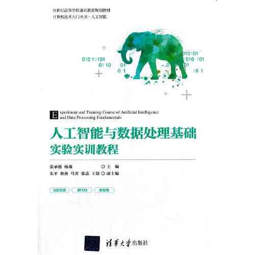 人工智能与大数据实训：实验报告及文库数据训练模拟分析