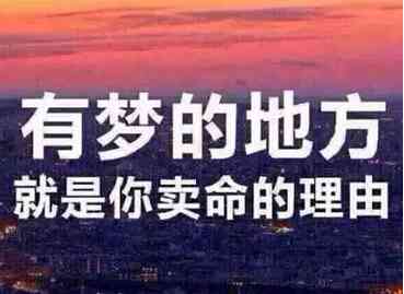 打造黄金创业励志文案：全面收录吸引投资者的金句秘诀与成功案例