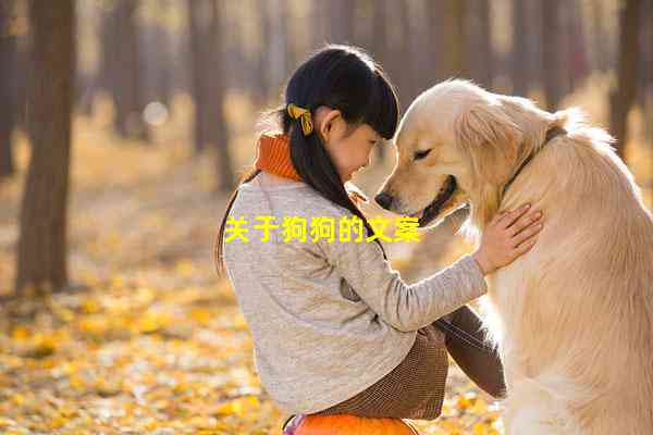 全方位狗狗文案汇编：涵养犬必备句子与实用技巧解析