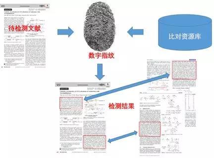 AI写作论文：查重率、抄袭风险及检测方法解析