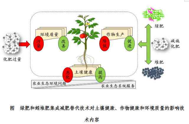 探究精准肥原理与技术：提升肥料利用效率与作物产量的综合指南