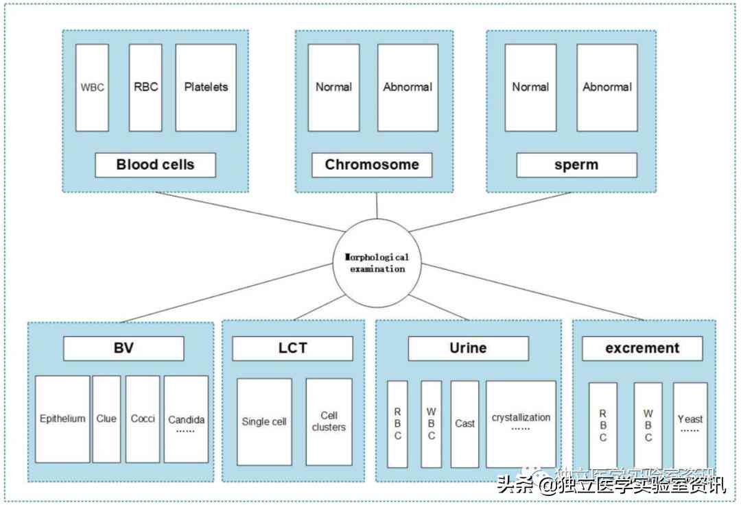 如何用AI写一篇业实践报告论文：题目、范文与撰写技巧