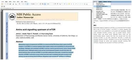 全面攻略：挑选适合科普文章写作的软件及高效使用方法