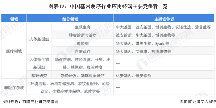 国内智能写作文案能力深度解析与分析