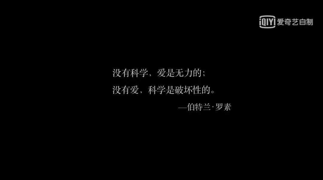 无主之城AI报告