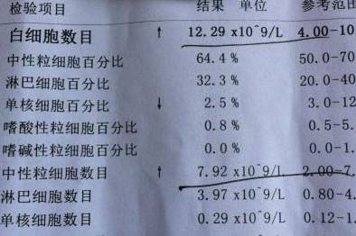 全方位解读血常规报告：AI智能分析助力健自检与疾病预警