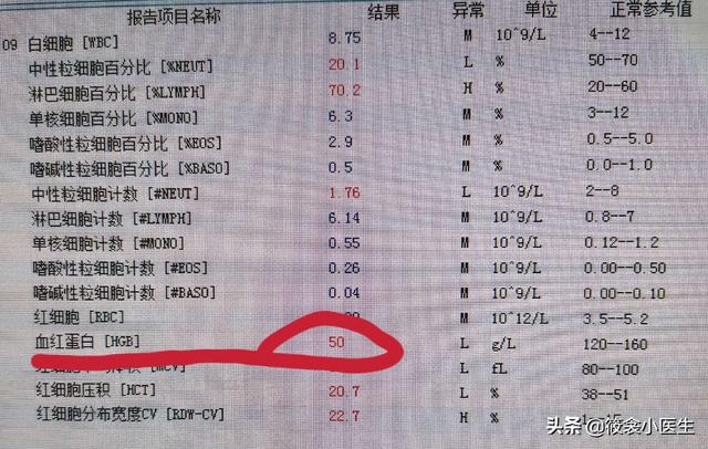 全方位解读血常规报告：AI智能分析助力健自检与疾病预警