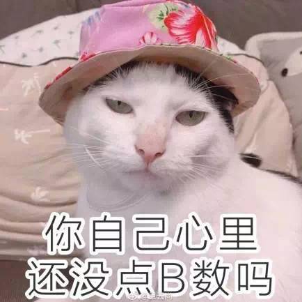 猫咪绘画技巧与灵感大全：涵品种、姿态、表情、绘画材料及创作指南