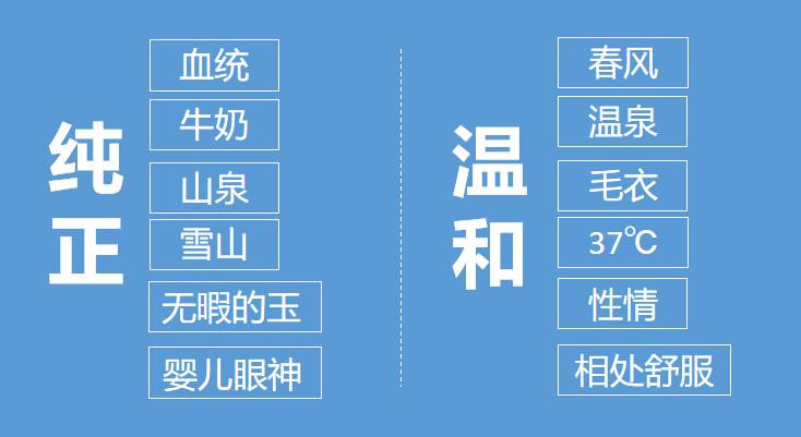 手把手教你打造专属文案：全面覆创意撰写、关键词优化与用户需求解析