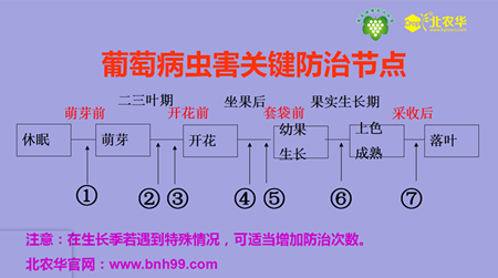 助农项目的意义：内涵、目的、价值与作用解析