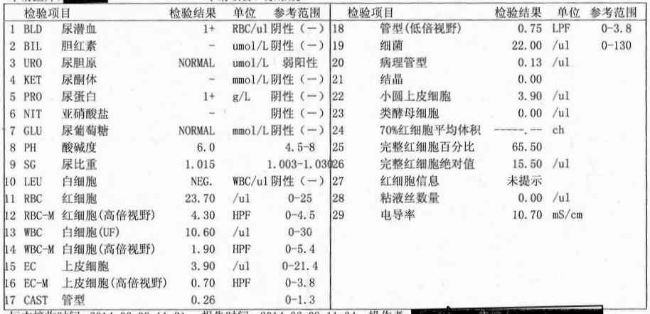 ai验血报告单分析结果