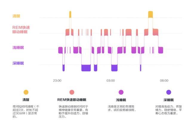 全方位睡眠质量分析报告：深度解析监测数据与改善建议