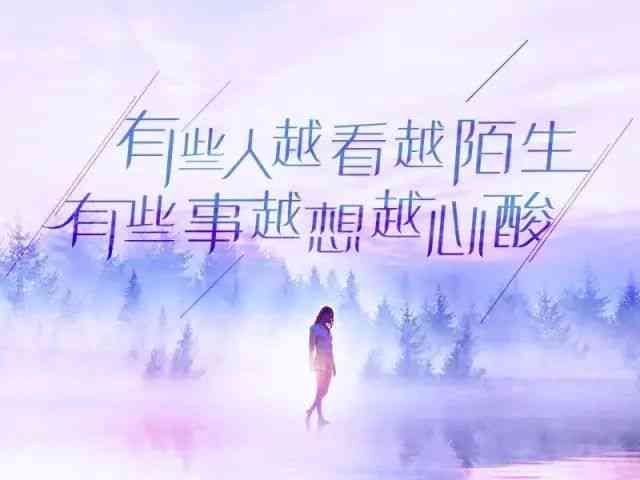 星火闪耀：唯美情感精华句子集锦