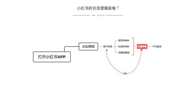 吾爱小红书脚本：使用方法、编写技巧与引流攻略