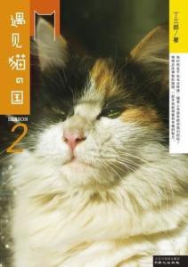 猫办公ai写作怎么样