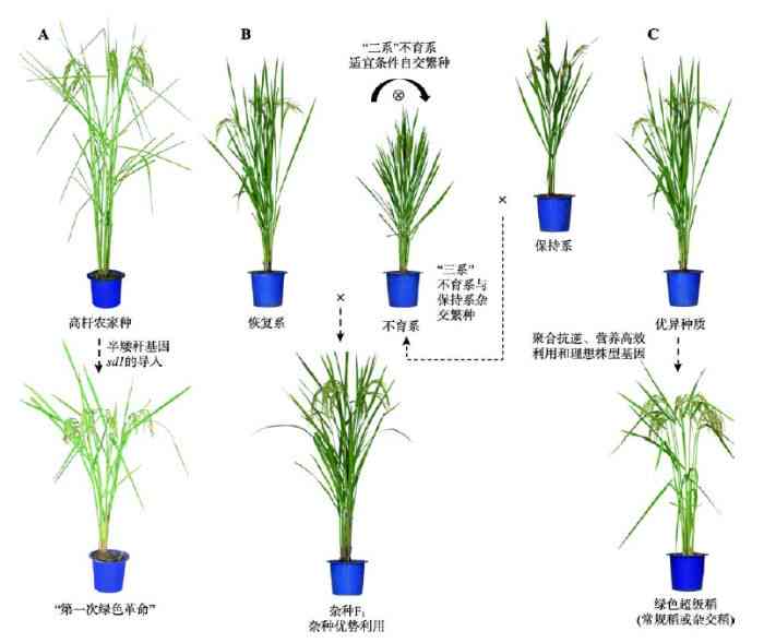 AI创作高效整合：如何发掘与利用素材库资源