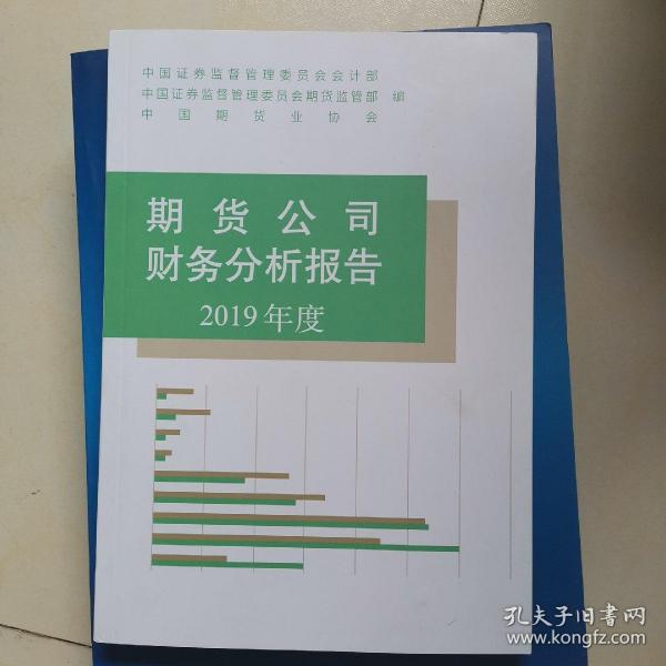 2019年度企业综合报告：财务概况、市场分析与发展展望年度报告书