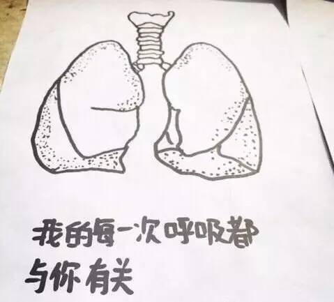 医学爱情文案：医学生爱情语录与馨句子汇编