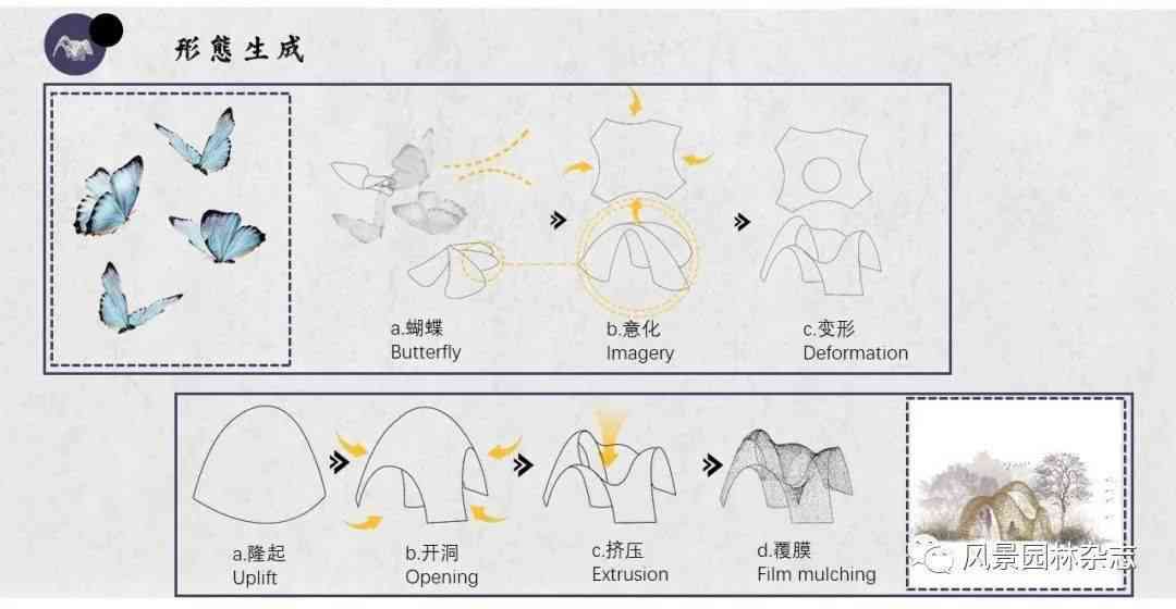 创意蝴蝶生命周期启示：探索自然之美的诗意文案