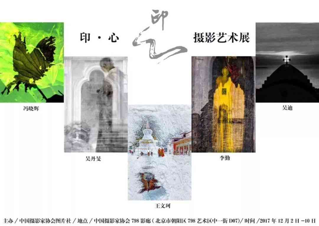 创意蝴蝶生命周期启示：探索自然之美的诗意文案