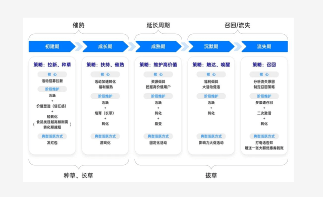 AI助手实现高效批量排版技巧与实践