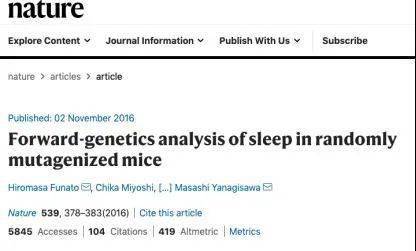 睡眠报告：AI分析快速眼动关键参数