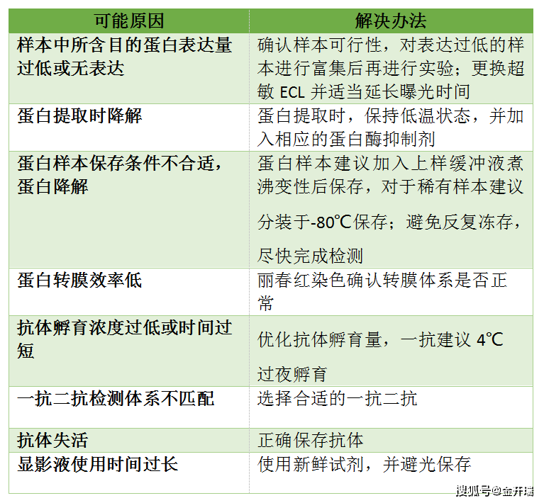 全面解析AI文案：深度探讨应用技巧、案例分析及常见问题解决方案