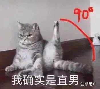 小红书ai文案猫免费