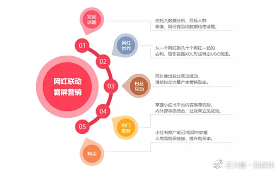 小红书案例总结：综合分析、反思与成功案例概况报告