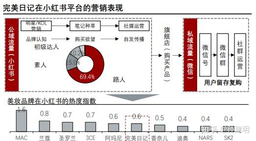 小红书案例总结：综合分析、反思与成功案例概况报告