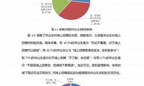 行业调查报告5000字大学生写作指导及2000字范文