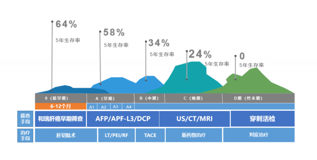 全球创新：AI智能解读CT报告，提升医疗影像诊断效率与准确性