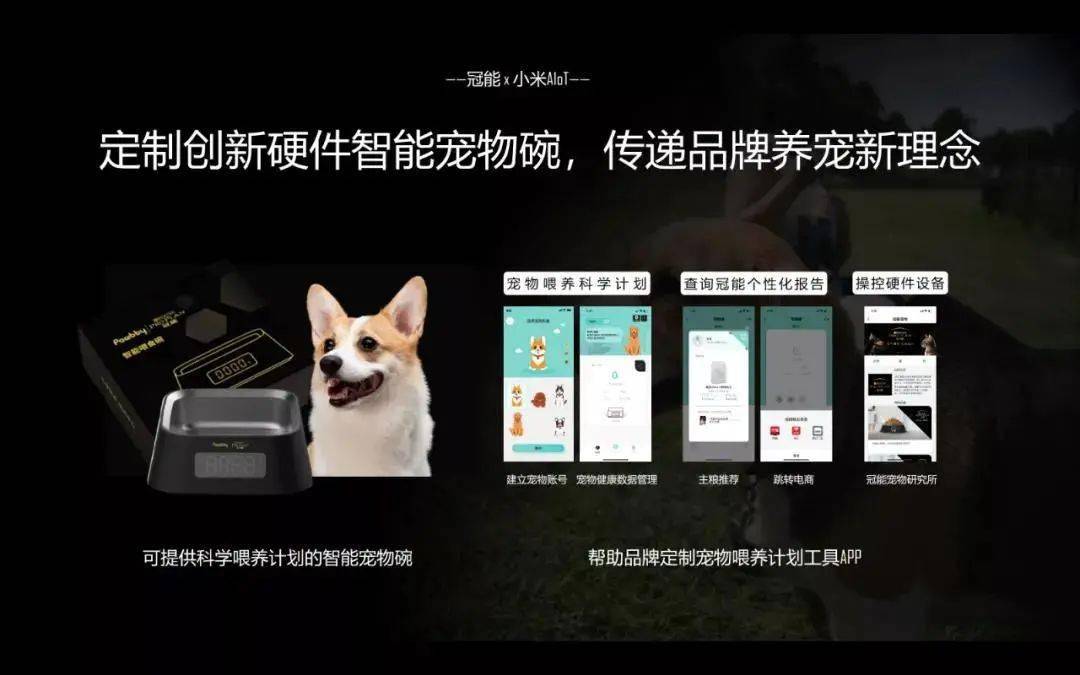 智能科技新锐—小发猫原创智能解决方案