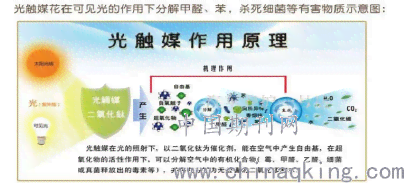 环保海报制作指南：从设计理念到实战技巧一站式解析