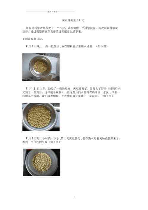 豆包的制作过程作文：300字至500字详尽记录