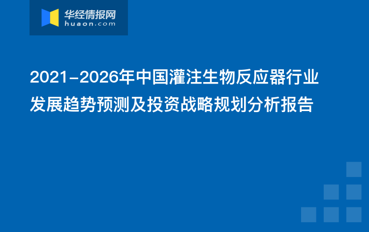 洞察未来：AI战略布局与挑战分析报告