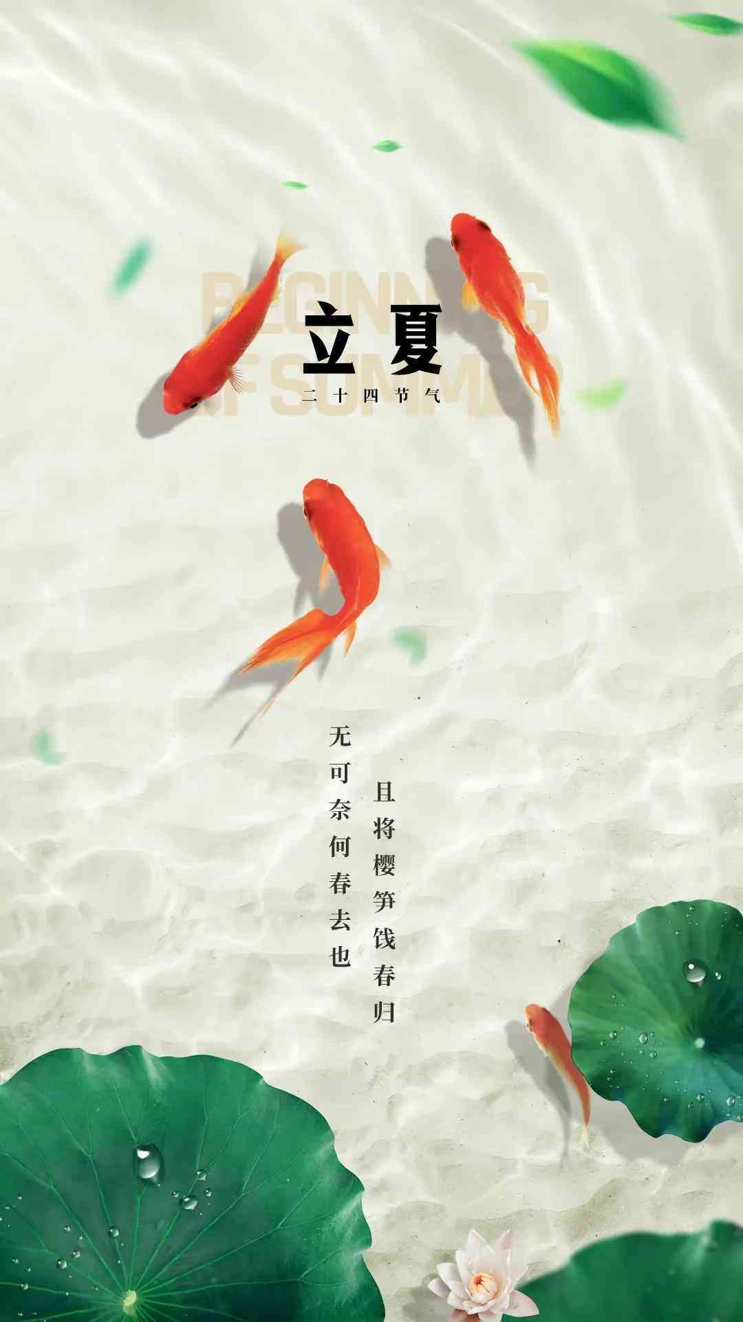 '文案高手：创意无限，魅力非凡的精彩文案'