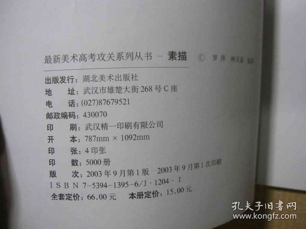 美术高考命题创作全方位解析：历年考题汇总与实战技巧指导